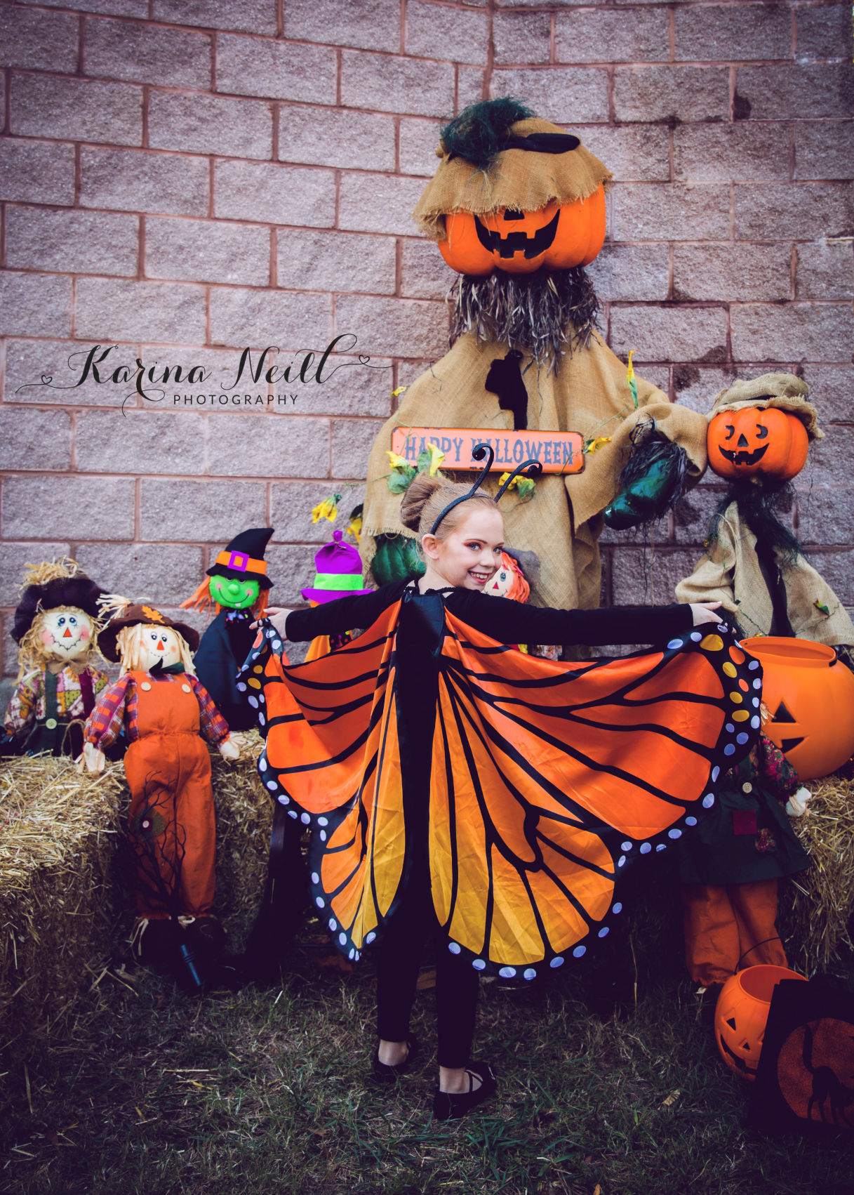 Pumpkins in the Park